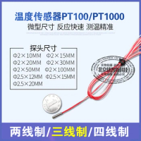 2MM Ultra-miniature PT100 Platinum Thermal Resistance Temperature Sensor 2-wire 3-wire 4-wire PT1000 Temperature Probe