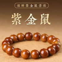 Natural Zi Jin Shu Bodhi Bracelet Solid Seed Buddha Beads Pliable Temperament Lucky Beads Bracelet