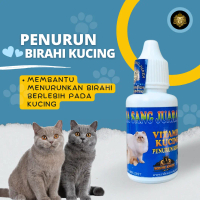 Obat Penurun Birahi Kucing Jantan Dan Betina