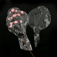 20寸寬口波波球玫瑰花波波球 方便塞玫瑰花透明高清高彈無痕氣球