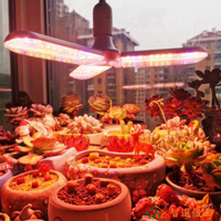植物補光燈 多肉補光燈仿太陽光上色防徒客廳花卉大棚全光譜燈led植物生長燈 快速出貨