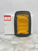 Filter Udara STD CCP Vixion Filter Saringan Udara Vixion Pnp