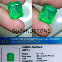 PERMATA (JAMCOL) GREEN EMERALD BERYL COLOMBIA MINOR CLARITY HQ