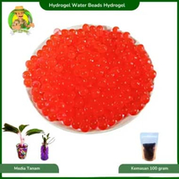 Media Tanaman Pengganti Tanah Hydrogel Untuk Mempercantik Tanaman Hias Merah