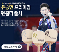 SALIX Ryu Seung Min 柳承敏 媲美紅柳 最高等級 R GRADE 限量版 桌球拍 乒乓球拍 日式直拍