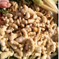 temulawak fresh/temu pauh/temu ulam/temu mangga 1kg Food Vegetables Frozen