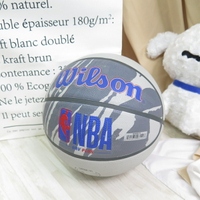 WILSON 維爾遜 NBA DRV系列 PLUS 七號籃球 橡膠 WTB9202XB07 火紋灰【iSport愛運動】