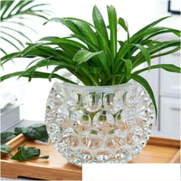 水培器皿創意玻璃花盆水養植物瓶透明花器綠蘿銅錢草花瓶圓形容器 名購居家