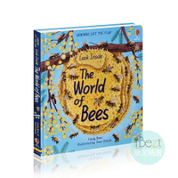Usborne Look Inside The World of Bees | 外文 | 翻翻 | Usborne | 自然 | 昆蟲動物 | 科普 | 知識 | 好奇心