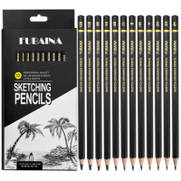 HB 2H 4H 6H B 2B 3B 4B 5B 6B 8B 10B Drawing Sketching Pencil Set,12 Pieces Art Pencils Graphite Shading Pencils for Beginners