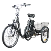 electric tricycle 250W 3 wheel adult cargo trike