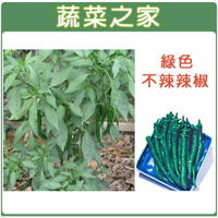 【蔬菜之家】G03.綠色不辣辣椒種子(小青龍.伏見甘長甜辣椒) (共兩種包裝可選)