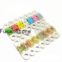 1PCS Imported Fuse, Steering Gear Booster Pump 80A Fuse