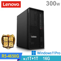 (商用)Lenovo P358 Tower 工作站(R5-4650G/16G/1TB HDD+1TB SSD/300W/W11P)
