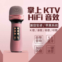 話筒音響一體麥克風全民k歌手機無線藍牙戶外唱歌老師兒童掌上ktv【尚宜家居】