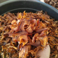 Asam Keping Gelugur 1 KILO