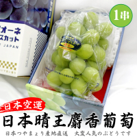 【WANG 蔬果】日本岡山縣晴王麝香葡萄(1房_700g/房)