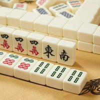 家用麻將牌手搓一級高檔大號高階中號高顏值44號中型廣東紅中麻雀