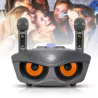 SD-306Plus Owl Wireless Bluetooth Speaker with Microphones Outdoor Portable Family Karaoke System Music Player Supports TF Card