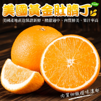 【天天果園】美國黃金肚臍橙10斤(每顆約120g)