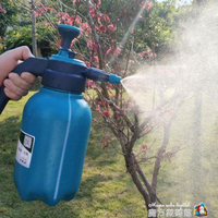 手動氣壓式2L加厚加長桿小型噴霧器噴壺澆水澆花壺灑水壺園藝工具