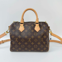 louis vuitton speedy 25 with strap