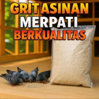 GRIT REMISAN ASINAN PIGEON GRIT TOP GRIT PLUS ASINAN MAKAKAN MERPATI MULTIVITAMIN MERPATI AYAM UNGGA