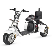 2023 Hot sale scooter 3 wheel electric