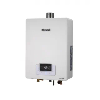 【林內】屋內型強制排氣熱水器16公升(RUA-C1630WF-NG1/FE式-含基本安裝)