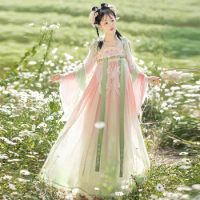 Women Han Fu Han Dynasty Elegant Fairy Dress Chinese Long Embroidered Flower