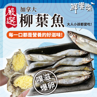 爆卵柳葉魚 300g真空包 冷凍海鮮
