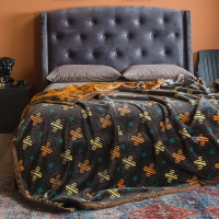雙層牛奶絨毛毯珊瑚絨毯子加厚冬季被子午睡法蘭絨空調毯沙發蓋毯