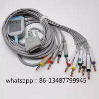 Biolight BLT-1203 BLT E12A BLT E12 E70 E80 EKG Cable