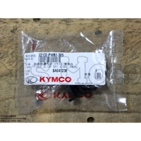 Y.S KYMCO 光陽原廠 NIKITA/J300/SHADOW 斜坡板邊件組/滑鍵 料號22132-PWB1-305