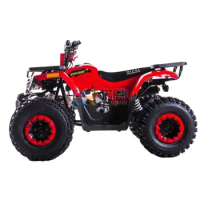 4 Wheel 125CC ATV Sporty Quad Bike for Adults Electric Scooter Motorcycle with Beautiful Design