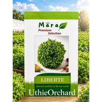 Mara Premium Selection - Benih Endive Frisee Liberte 200 seeds