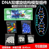 學生用DNA分子雙螺旋結構模型CGAT堿基對手工DIY小制作遺傳基因小學科學初中高中生物生命科學教學儀器器材