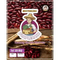 Bibit Premium Kacang Merah Merona | Benih Kacang Merah Merona