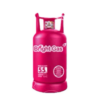 Tabung Gas kosong 5,5 kg bright gas pink