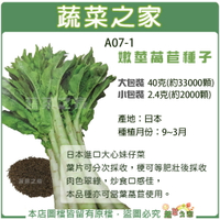 【蔬菜之家】A07-1.嫩莖萵苣種子(共2種包裝)
