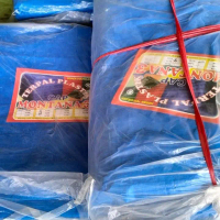 Terpal jadi Merek Montana ukuran 2x3, 3x4, 4x6, 5x7, 6x8 Silahkan di inbox dulu untuk mesan terpalny