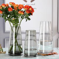 花瓶輕奢型玻璃花瓶約透明水養插花水培百合花插干花客廳擺件代發