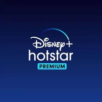 Disney+ Hotstar Premium Sharing 3 Bulan