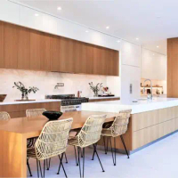 2020 contemporary kitchen cabinets undermount sink flat-panel cabinets, granite countertops Kitchen remodel CK203