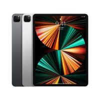 【Apple 蘋果】iPad Pro 12.9吋2021(WiFi/256G)