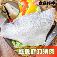 【食在好神】新鮮鱸魚片 200-300G/片 (買6送1共7片)
