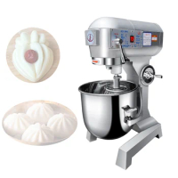 Automatic Dough Mixer 220v Commercial Flour Mixer Stirring Mixer Pasta Bread Dough Kneading Machine