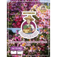 Bibit Premium Bunga Angel Wings Mix | Benih Bunga Angel Mix