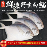 【三頓飯】鮮嫩野生白鯧魚3尾(任搭白帶魚/雞腿/草蝦/扇貝4選1)
