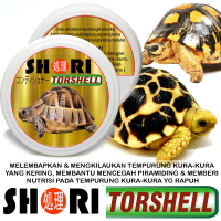 SHORI TORSHELL CONDITIONER PELEMBAB TEMPURUNG KURA SULCATA PARDALIS